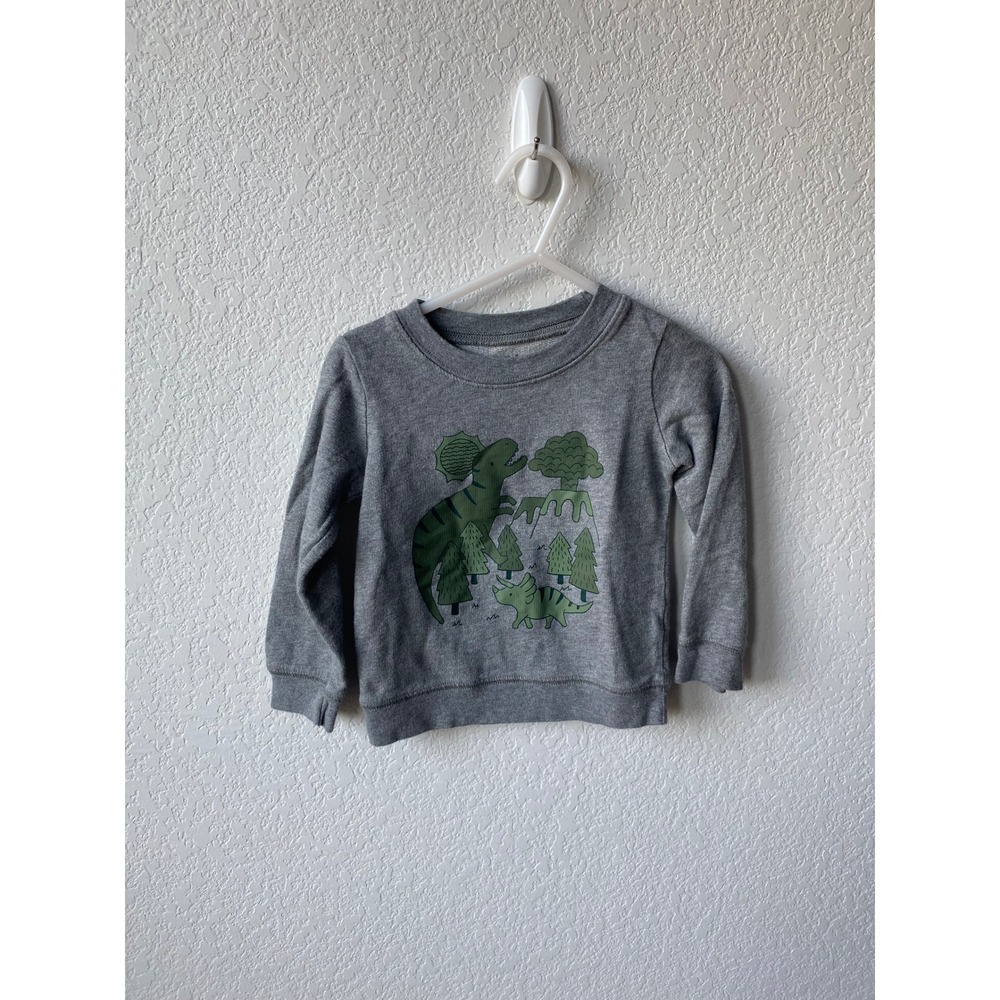 Child of Mine Boys Dinosaur Graphic Playful Sweatshirt Size 24M Gray Green